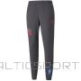 Puma Neymar Jr Futebol Training Pant M 605600 07 (M)