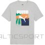 Puma Graphics Summer Sports Tee II M 627909 04 (M)