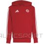 adidas FC Bayern Hoodie Kids KG2566 bērnu jakas, sarkans, 140 cm