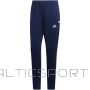 Adidas Team 19 Track Pant W DY8827 (XXS)