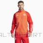 Adidas Защитная куртка FC Bayern M IN6314 (M)