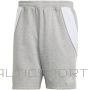 Adidas Tiro 24 Sweat M shorts IR9308 (M)
