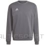Adidas entrada 22 sviedru augšdaļa H57479 / Pelēka / L
