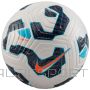 Nike Club Elite FZ2986-100 Ball (5)