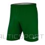 Nike Lāzera auduma IV īsie M AJ1245-302 futbola šorti (M)
