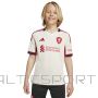 Adidas Liverpool Stadium Away 2025/26 Jr Jersey JV6453 / White / 140 cm