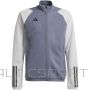 Adidas Džemperis Tiro 23 Competition Training Jr. HP1909 (116 cm)
