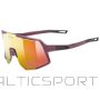 BS Uvex sequenze CV Multisports Glasses Unisex Half-Rim Red (N/A)