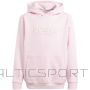 Adidas Allszn Gfx HD Jr sweatshirt IN2844 (152cm)