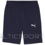 Puma Шорты TeamGOAL Casuals M 658608 06 (2XL)