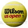 WILSON MINI JUMBO BALL 5’’