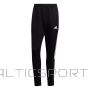 Adidas Штаны TIRO21 TRACK PANT M GH7305 (XS)