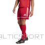 Spodenki adidas SQUADRA 25 Short JN5466 / czerwony / XXXL