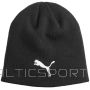 Puma Individual Winterized Tech M 024943 01 cap (Senior)