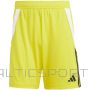 Adidas Шорты Tiro 24 M IS1409 (S)