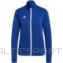 Adidas Entrada 22 Track Jacket W HG6293 (M)