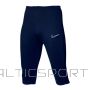 Nike Шорты Dri-FIT Academy M DR1365-451 (M (178см))
