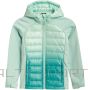 Детская куртка /4F куртка софтшелл Jr HJZ21 JSFD002A 47S (164 см)