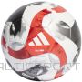 Adidas Мяч Tiro PRO HT2428 / белый / 5