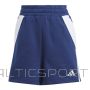 Adidas Tiro 24 Sweat W shorts IR9326 (S (163cm))