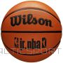 Wilson Basketbola bumba Jr NBA Fam logotips WZ3013001XB6 (6)