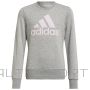 Adidas Big Logo SWT sporta krekls HM8706 / pelēks / 152 cm