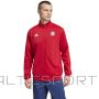 Adidas FC Bayern DNA Track Top IT4154 / red / S