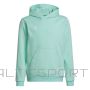 Adidas Толстовка Entrada 22 Hoody JR HC5066 (116 см)