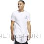 T-shirt adidas Skates Tee M HL0093 (M)