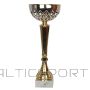 Gtsport Puchar GT 24479 / A - 36 cm / złoty