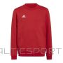 Adidas Džemperis Entrada 22 Sweat Jr H57473 (164 CM)