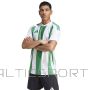 Koszulka adidas STRIPED 24 JSY IW2148 / biały / XXL