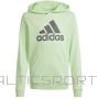 Adidas Big Logo Hoodie Jr IS2591 sweatshirt (140 cm)