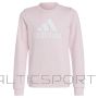 Sweatshirt adidas Big Logo Swt Jr IC6119 (152 cm)
