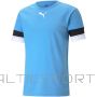 Puma T-kreklu komandaRise Team M 704932 18 (L)