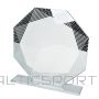 Biemans Trofeum szklane W102 / 19 cm