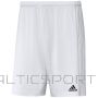 Adidas Squadra Squadra 21 īss GN5774 šorti / Balta / S