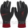 Nike Liverpool FC Thermafit HO23 Jr FQ4600-010 cimdi (M)