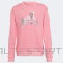 Sweatshirt adidas D Sweat Jr. HM4442 (152 cm)