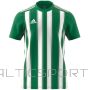 Adidas Tee Striped 21 JSY M H35644 (XS)
