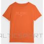 T-shirt 4F M 4FAW23TTSHM0865-70S (L)