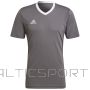 Adidas Entrada T-krekls 22 JSY Y HE1574 / Pelēka / L