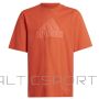T-shirt adidas FI Logo Tee Jr. HR6296 (164 cm)