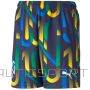 Puma Neymar Jr Future Printed Short Jr 605541-06 (140)