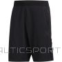 Adidas 3-Stripes Aeroready M FM2107 shorts (XL)