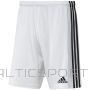Adidas Squadra 21 Short M GN5773 (L)