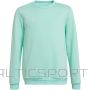 Adidas Толстовка Entrada 22 Sweat Top Jr HC5042 (128 см)