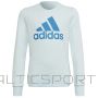 Sweatshirt adidas Big Logo Swt Jr HM8707 (140 cm)
