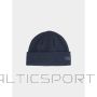 Salomon Winter hat 4F 4FAW23ACAPM307 31S (one size)