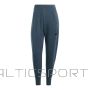 Adidas W ZNE WTR PT W IS4333 bikses (S (163cm))